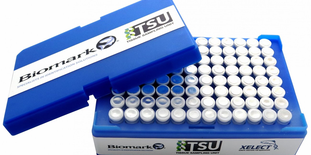 TSU Trays (96)